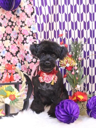 20250119レアくん